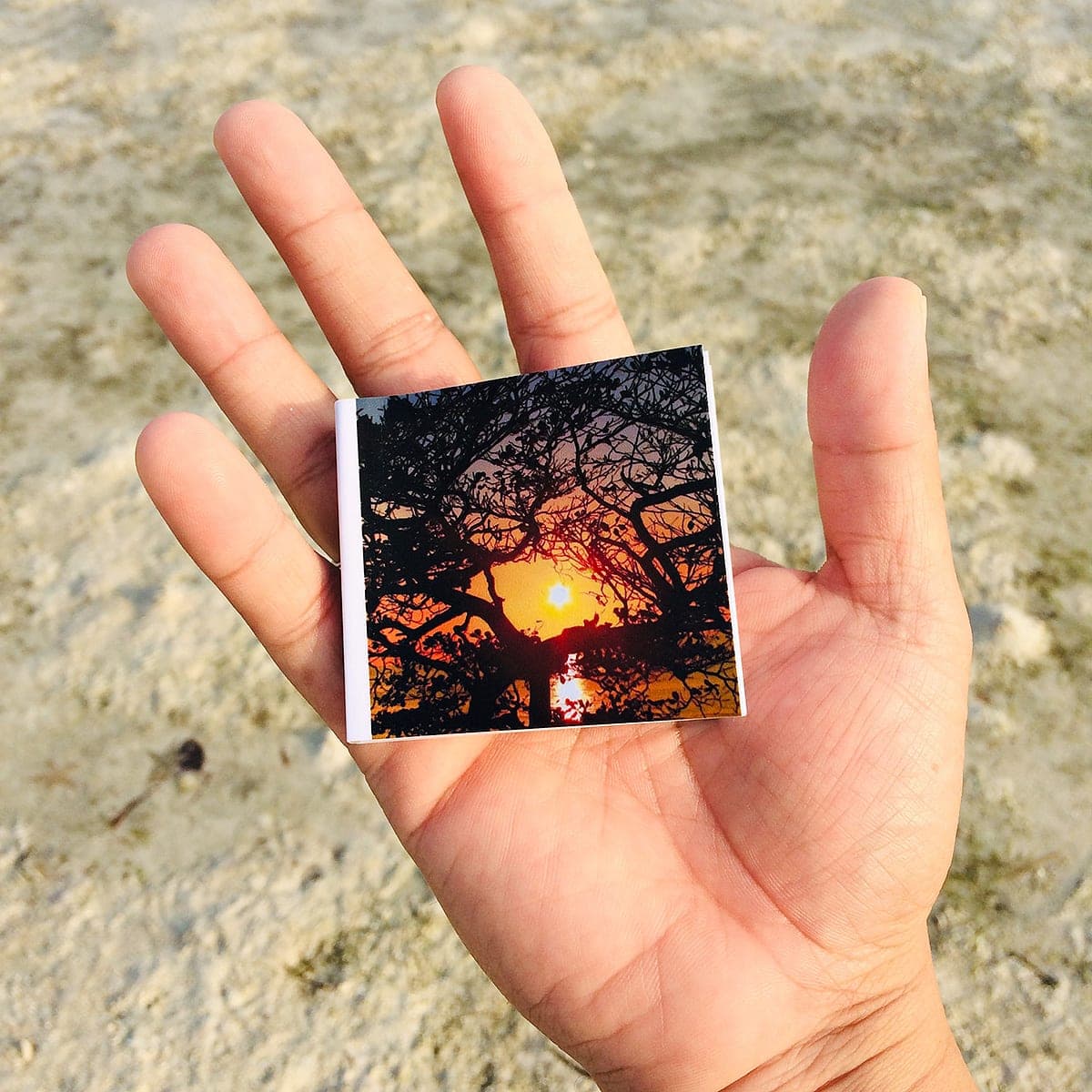 2×2 Fotogra Book